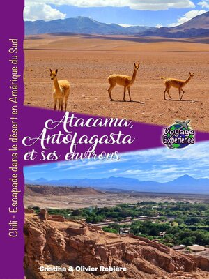 cover image of Atacama, Antofagasta et les Environs
